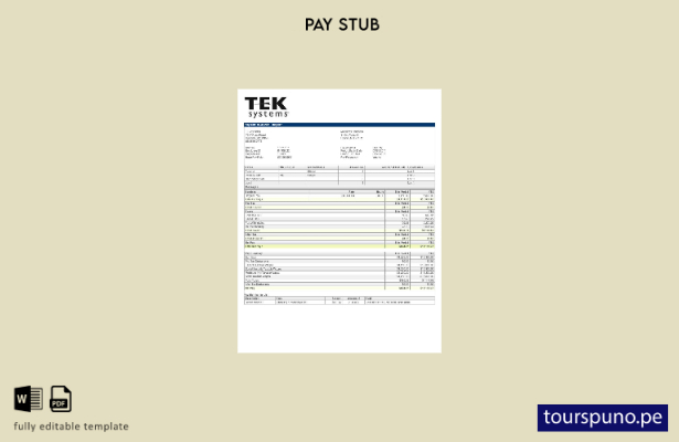 Plantilla de talón de pago de TEKsystems lista para imprimir